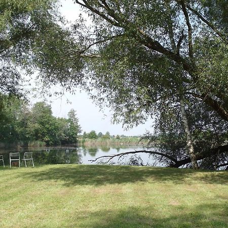 Ferienwohnungen Im Kunst.Haus Am See Doberlug-Kirchhain Екстер'єр фото